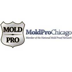 Mold Pro Chicago