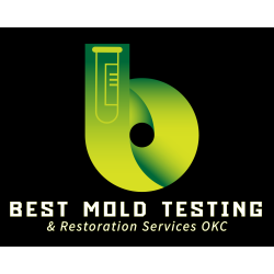 Best Mold Testing & Restoration Services OKC