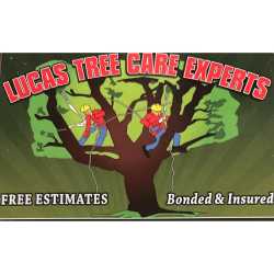 Lucas Tree Care Experts