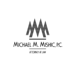 Michael Mishic