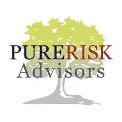 Pure Risk Advisors