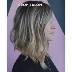 Crop Salon 2