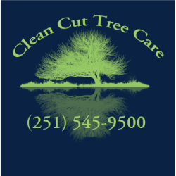 Clean Cut Tree Care, LLc