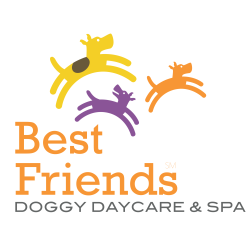 Best Friends Doggy Daycare - CLOSED