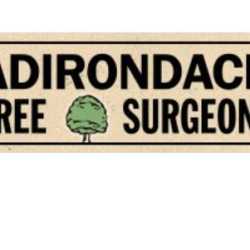 Adirondack Tree Surgeons Inc