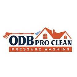 OBD Pro Clean