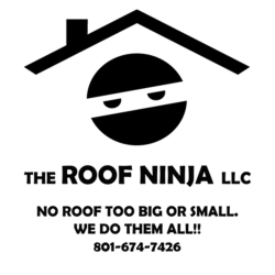 The Roof Ninja