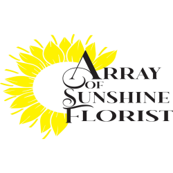 Array of Sunshine Florist