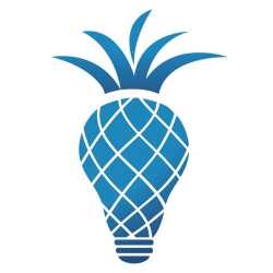 The Pineapple Agency