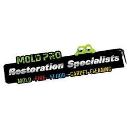 Mold Pro Restoration Specialist