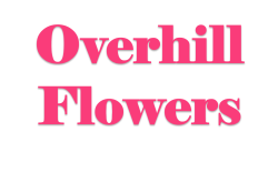 Overhill Flowers