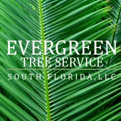 Evergreen Tree Service South Florida, LLC