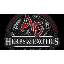 AE Herps and Exotics North Valley