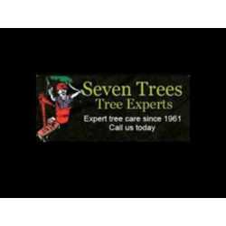 Seven Trees Tree Experts