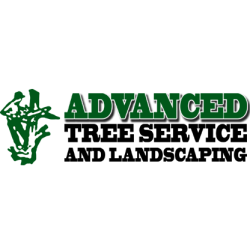 Advanced Tree Service In Roseburg
