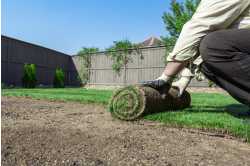 Foster Lawn Care Services
