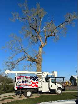 A&R Tree and Demolition Service