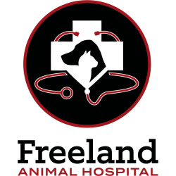 Freeland Animal Hospital
