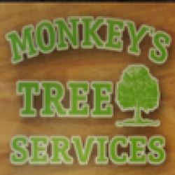 Monkey's Tree Services