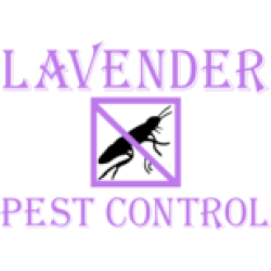 Lavender Pest Control