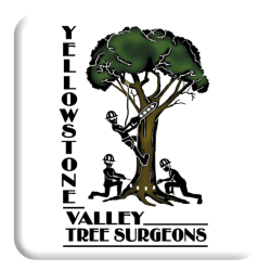 Yellowstone Valley Tree - SavATree