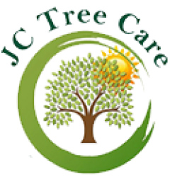 JC Tree Care & Landscape