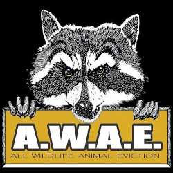All Wildlife Animal Eviction