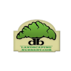 D B Landscaping and Lawn Care