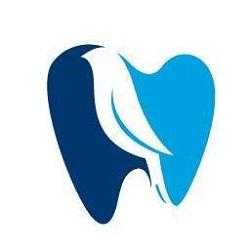Blue Bird Dentistry: Mohamed Elnahass, DDS