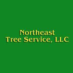 Northeast Tree Services