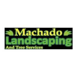 Machado landscaping LLC and tree service-General Landscaping-General Tree Services