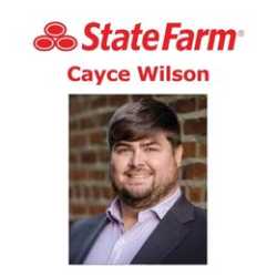 Cayce Wilson - State Farm Insurance Agent