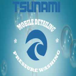 Tsunami Mobile Detail and Pressure Washing