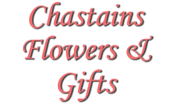 Chastains Flower and Gifts