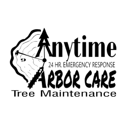 Anytime Arbor Care
