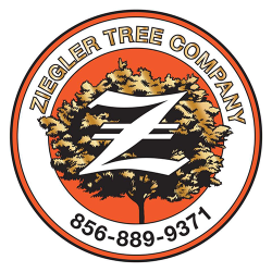 Ziegler Tree Company