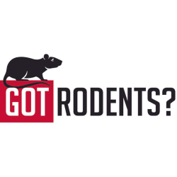 Got Rodents?