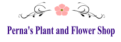 Perna's Flower Shop - Princeton Flower Delivery