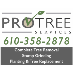 Tri County Tree Experts
