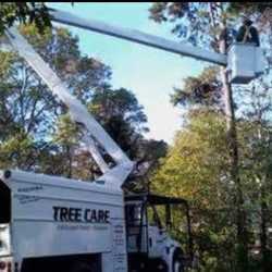 Precision Tree Service