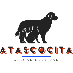 Atascocita Animal Hospital