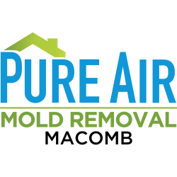 Pure Air Mold Removal Macomb