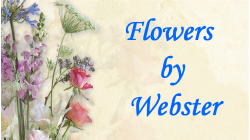 Flowers by Webster