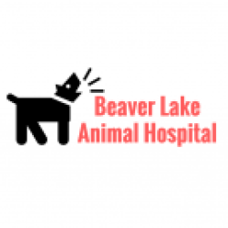 Beaver Lake Animal Hospital