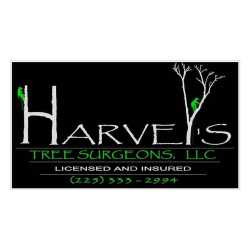 Harvey's Tree Surgeon