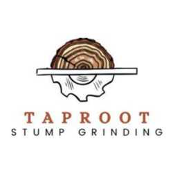 Taproot Stump Grinding