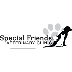 Special Friends Veterinary Clinic & Grooming