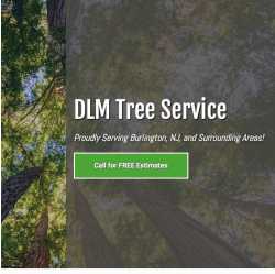 DLM Tree Services