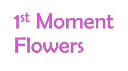 1st Moment Flowers