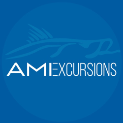 AMI Excursions